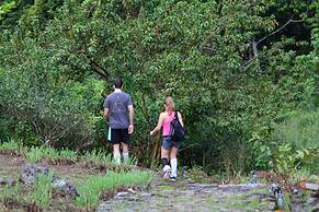 The Rainforest Ecolodge