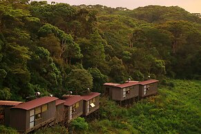 The Rainforest Ecolodge