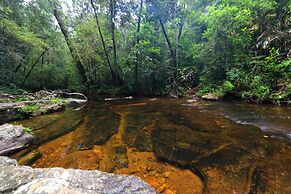 The Rainforest Ecolodge