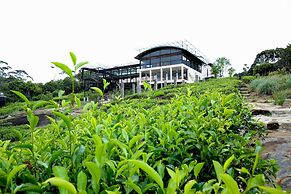 The Rainforest Ecolodge