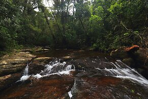 The Rainforest Ecolodge