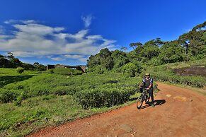 The Rainforest Ecolodge