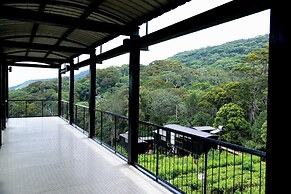 The Rainforest Ecolodge