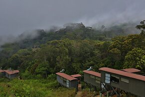 The Rainforest Ecolodge