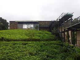 The Rainforest Ecolodge