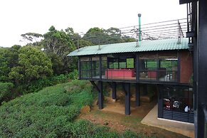 The Rainforest Ecolodge