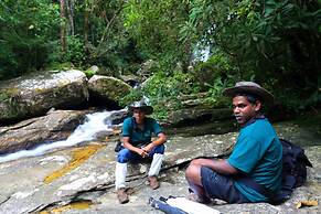 The Rainforest Ecolodge