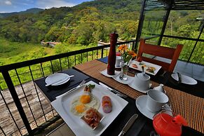 The Rainforest Ecolodge