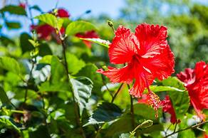 The Resort at Marble Hill