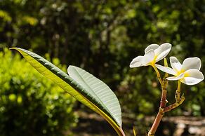 The Resort at Marble Hill