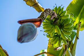 The Resort at Marble Hill