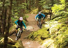 Hockley Valley Resort