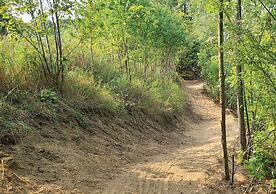 Hockley Valley Resort