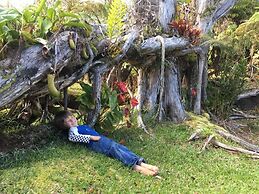 Ixchel Hawaii