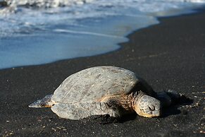 Ixchel Hawaii