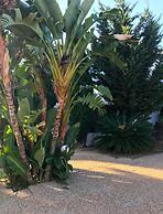 Solar de São João - Apartamentos Turísticos