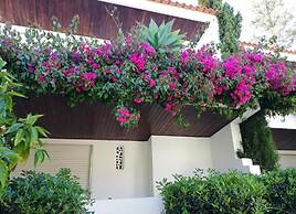 Solar de São João - Apartamentos Turísticos