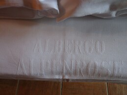 ALBERGO ALPENROSE Ski&Bike Mountain Hotel