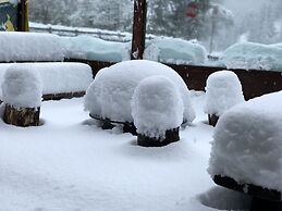 ALBERGO ALPENROSE Ski&Bike Mountain Hotel