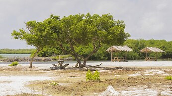 Dive Hut - Boutique Apartments