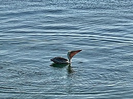 Vistalmar Ocean Suites