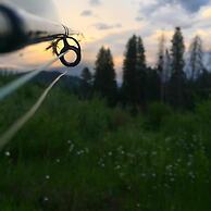 Gallatin River Lodge