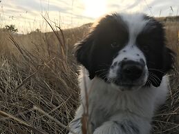 Gallatin River Lodge