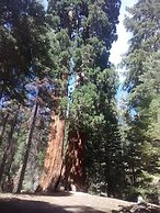 Sequoia Lodge