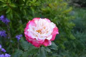 Elevate Rooms Armand Heights