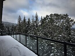 Elevate Rooms Armand Heights