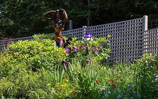 Elevate Rooms Armand Heights