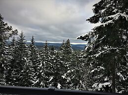 Elevate Rooms Armand Heights