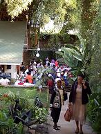 Hotel Riverview Westlands