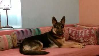 1st Gate Home - Fusion