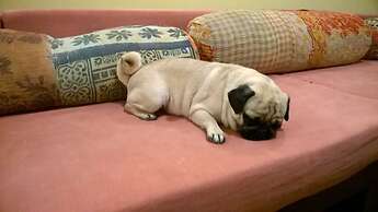 1st Gate Home - Fusion