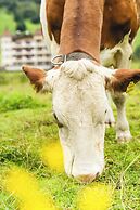 Traumhotel Alpina - Yoga & Ayurveda Adults only