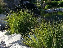 Traumhotel Alpina - Yoga & Ayurveda Adults only