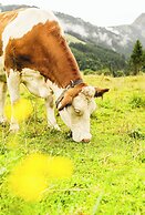 Traumhotel Alpina - Yoga & Ayurveda Adults only