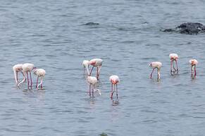 Sentrim Elementaita Lodge