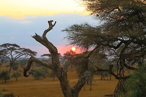 Sentrim Amboseli Lodge
