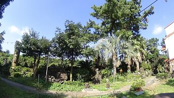 Memory In Jeju Pension