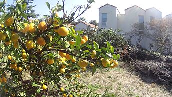 Memory In Jeju Pension