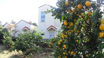 Memory In Jeju Pension