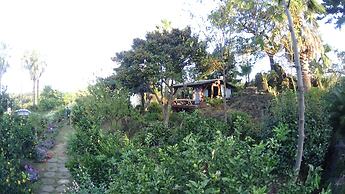 Memory In Jeju Pension