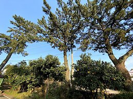 Memory In Jeju Pension