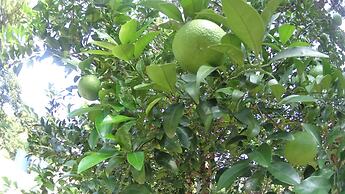 Memory In Jeju Pension