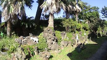 Memory In Jeju Pension