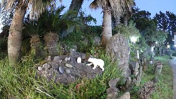 Memory In Jeju Pension