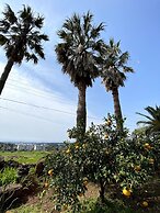 Memory In Jeju Pension