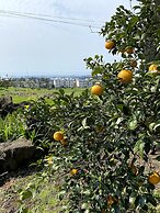 Memory In Jeju Pension